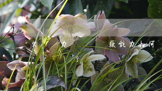 欠債無力償還，無還款能力：如何處理債務問題？